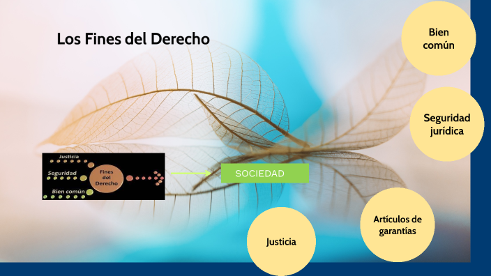 LOS FINES DEL DERECHO by Marisa Muñoz on Prezi
