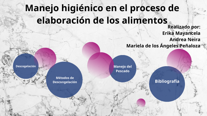 Manejo higiénico en el proceso de elaboración de los alimentos by erika