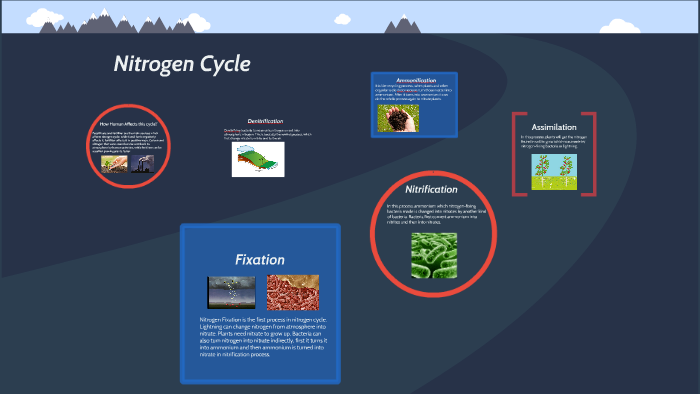 Nitrogen Cycle by anita Acharya on Prezi