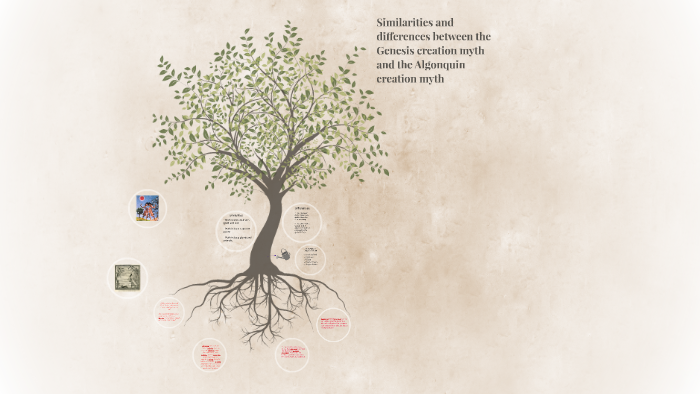 WHAT ARE THE SIMILARITIES OF THE FIRST AND SECOND CREATION visual data 3