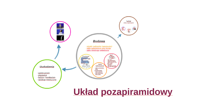 Układ pozapiramidowy by Natalia Krużycka on Prezi