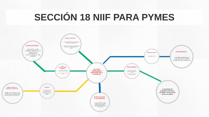 Nic 2 Seccion 13 Niif Pymes Mapa Mental Amostra 9042