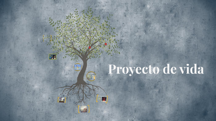 Proyecto de vida by erika ramos on Prezi