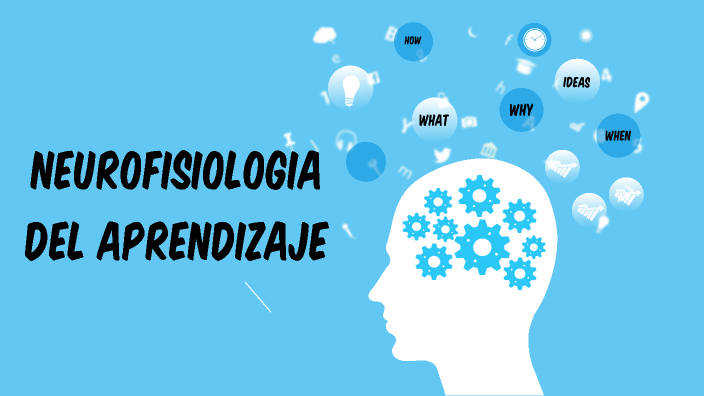 NEUROFISIOLOGIA DEL CEREBRO by FRANCY TOSCANO on Prezi