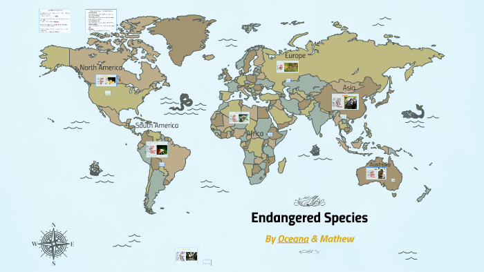 Endangered Species by on Prezi