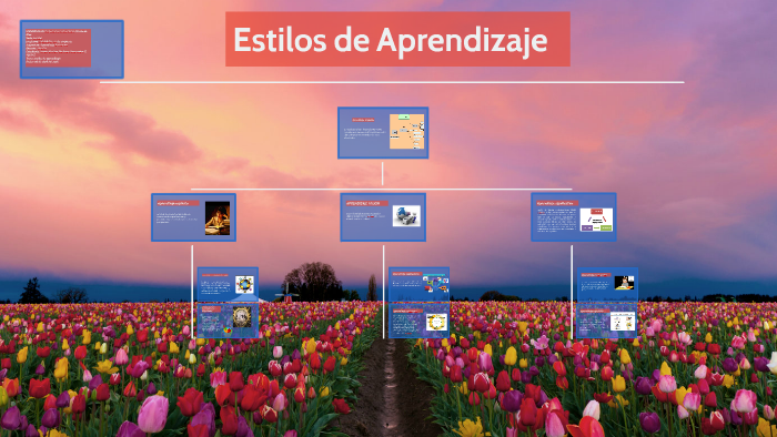 Estilos de Aprendizaje by ivonne Maritza Perdomo Hernadez on Prezi