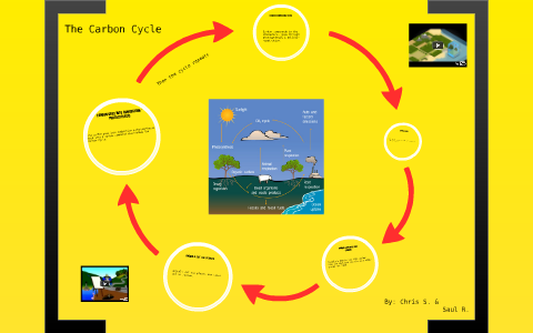 The Carbon Cycle by Christopher Santiago on Prezi