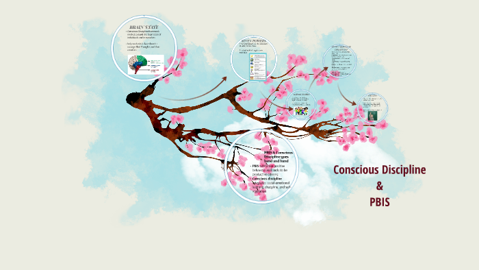 This one simple step turns PBIS discipline into surprising rewards nobody sees