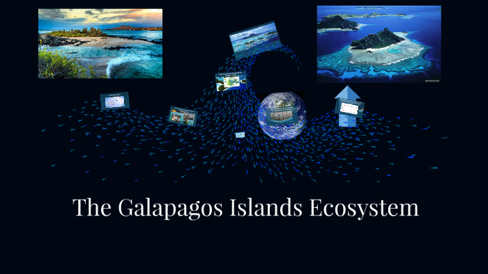 The Galapagos Islands Ecosystem by indigo Violet on Prezi