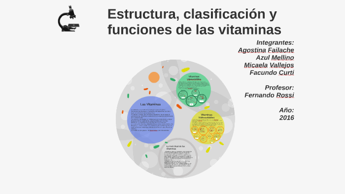 Estructura Clasificacion Y Funciones De Las Vitaminas By Facundo