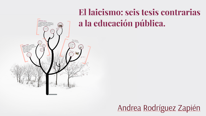 El Laicismo Seis Tesis Contrarias A La Educación Pública Pdf