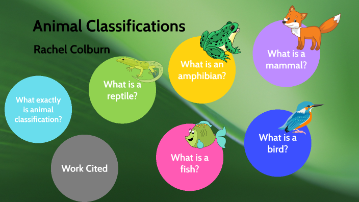 Animal Classifications by Rachel Colburn on Prezi Next