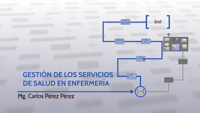 GESTIÓN DE LOS SERVICIOS DE SALUD EN ENFERMERÍA by Carlos Pérez Pérez