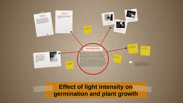 Effect of light intensity on germination and plant growth by Halle ...