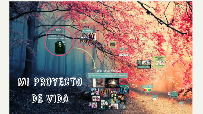 Mi proyecto de vida by Laura Alejandra JeMa on Prezi