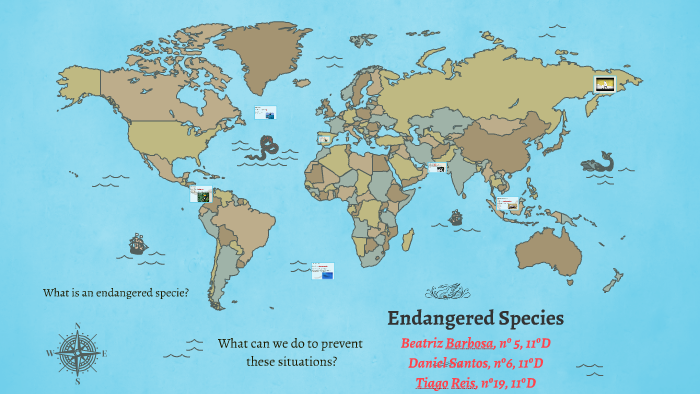 Endangered Species by Beatriz Barbosa on Prezi
