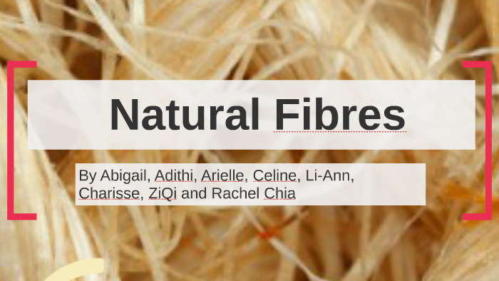 presentation on natural fibres