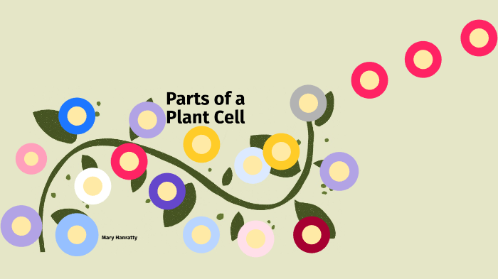 Cell Analogies Plant Cells By Mary Hanratty On Prezi 0602