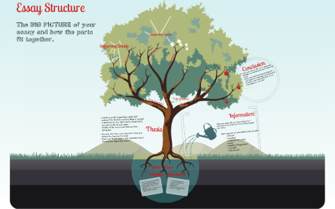 essay structure tree