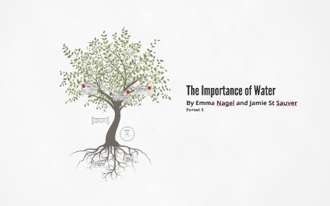 The Importance of Water by J S on Prezi