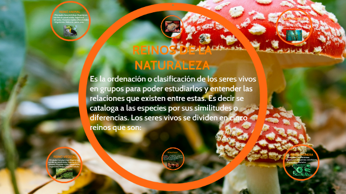 REINOS DE LA NATURALEZA by paula perez perez on Prezi
