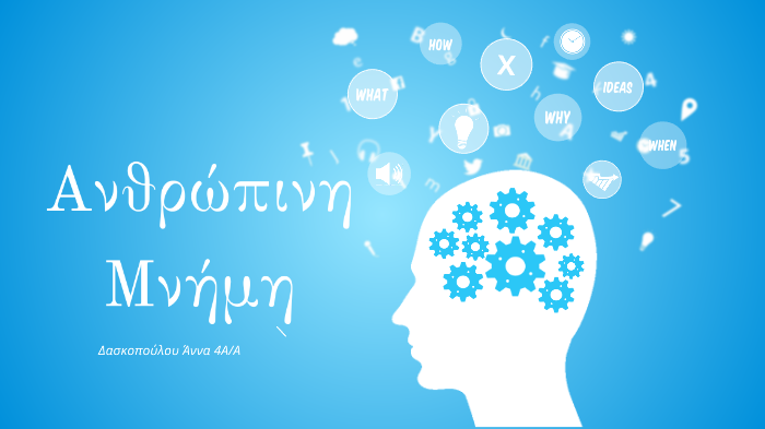 Memory by Anna D on Prezi