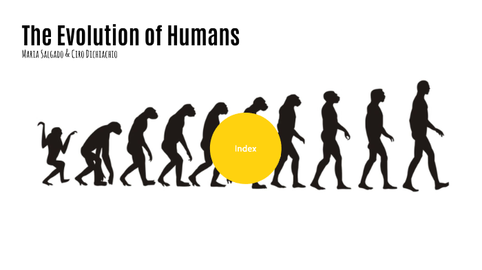 The Evolution of Humans by Maria Salgado Gómez on Prezi
