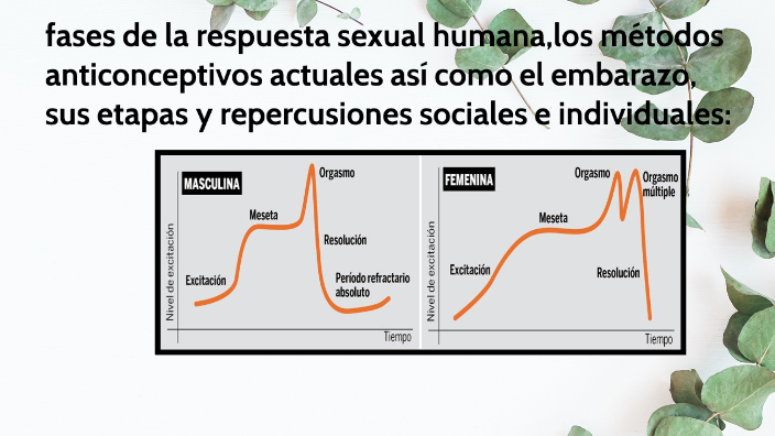 Fases De La Respuesta Sexual Humanalos Métodos Anticonceptivos Actuales Así Como El Embarazo 1976