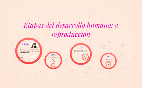 Etapas del desarrollo humano: a reproducción by Maria Vazquez