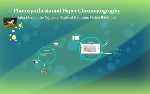 Photosynthesis and Paper Chromatography by Juia dave on Prezi