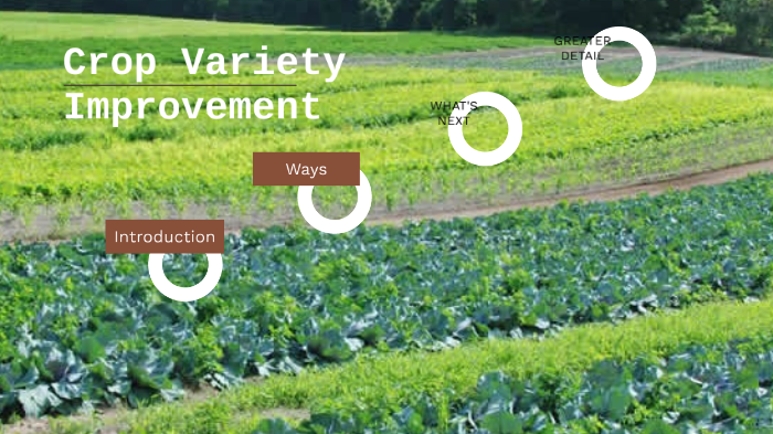 how-to-improve-crop-production-improvement-of-food-resources-class