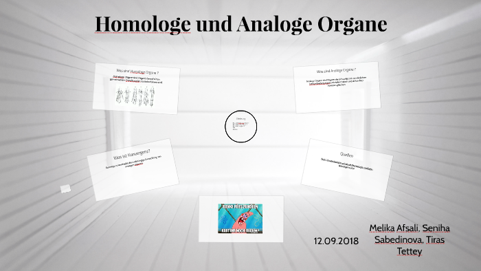 Homologe und Analoge Organe by Melika Afsali on Prezi