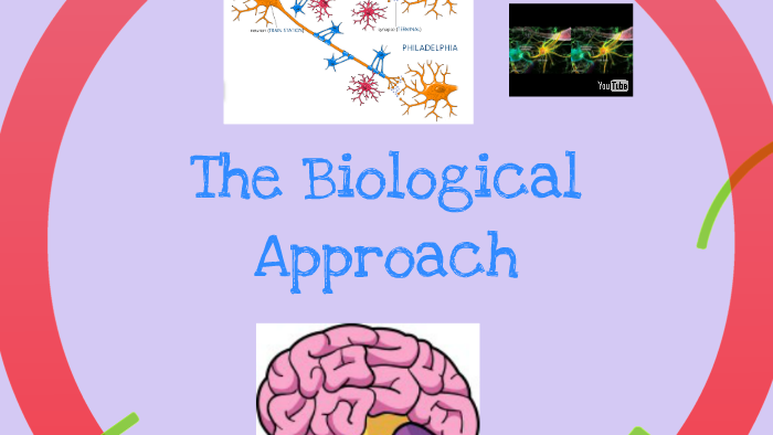 biological-psychology-by-sam-staples