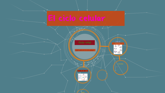 El ciclo celular by Abel Alvarez on Prezi