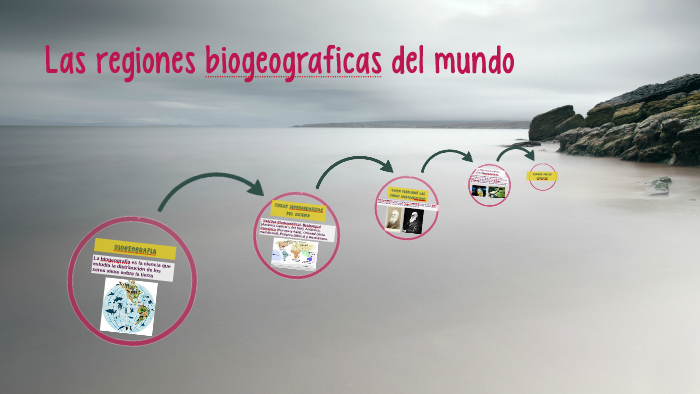 Las regiones biogeograficas del mundo by Erick Javier Barberan Mendoza ...