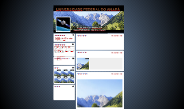 UNIVERSIDADE FEDERAL DO AMAPÁ