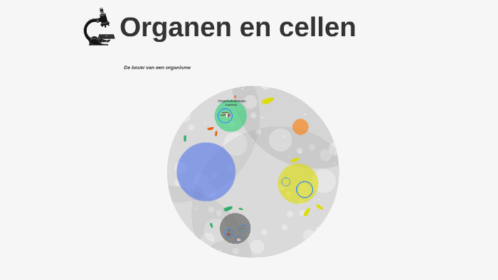 Organen&cellen:Bouw van een organisme by Matthijs Tempelman on Prezi