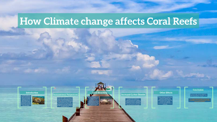 How Climate change affects Coral Reefs by mischa rocklin on Prezi
