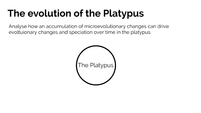 platypus evolution gems