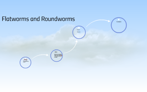 flatworms and roundworms homework assignment 1