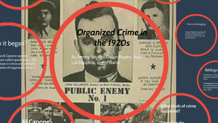 organized-crime-in-the-1920s-by-james-snyder