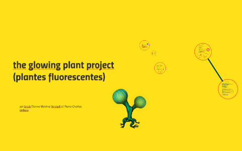 the glowing plant project (plantes fluorescentes) Prezi Next