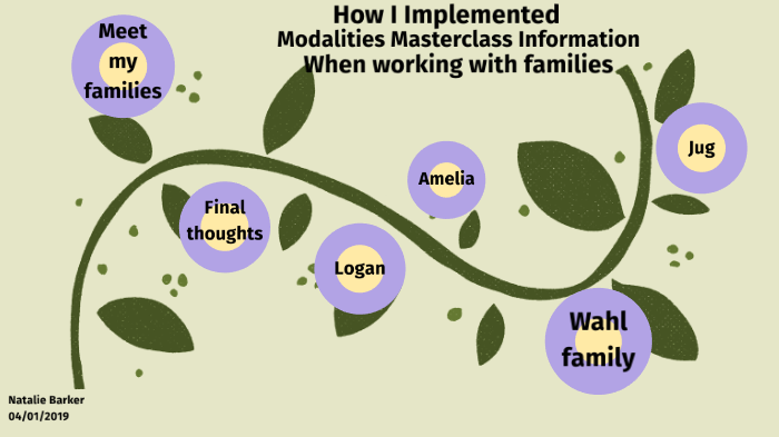 How I Implemented Modalities Masterclass Information When Working With ...