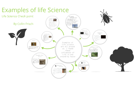 life science research studies examples