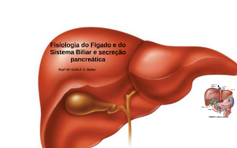 Fisiologia do Fígado e do Sistema Biliar by Carla Nuñez on Prezi