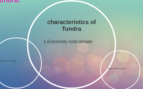 Tundra My Biome By Arlandria Gordon On Prezi