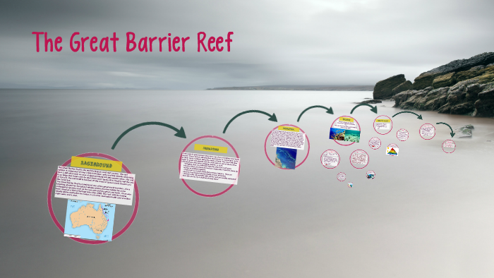 The Great Barrier Reef by Jessica Kimbro on Prezi