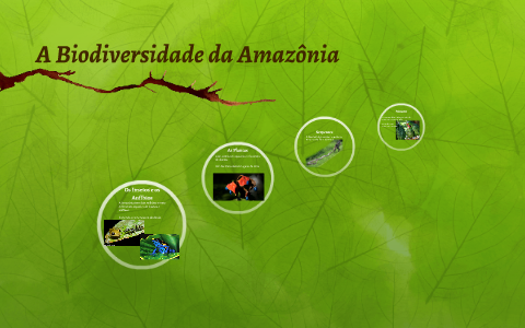 A Amazônia by Ian Anderson