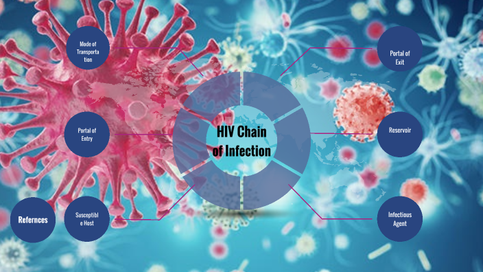 Chain of Infection by Jaden Roache on Prezi