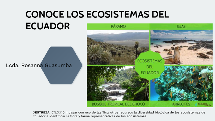 CONOCE LOS ECOSITEMAS DEL ECUADOR by ROSANNA GUASUMBA on Prezi